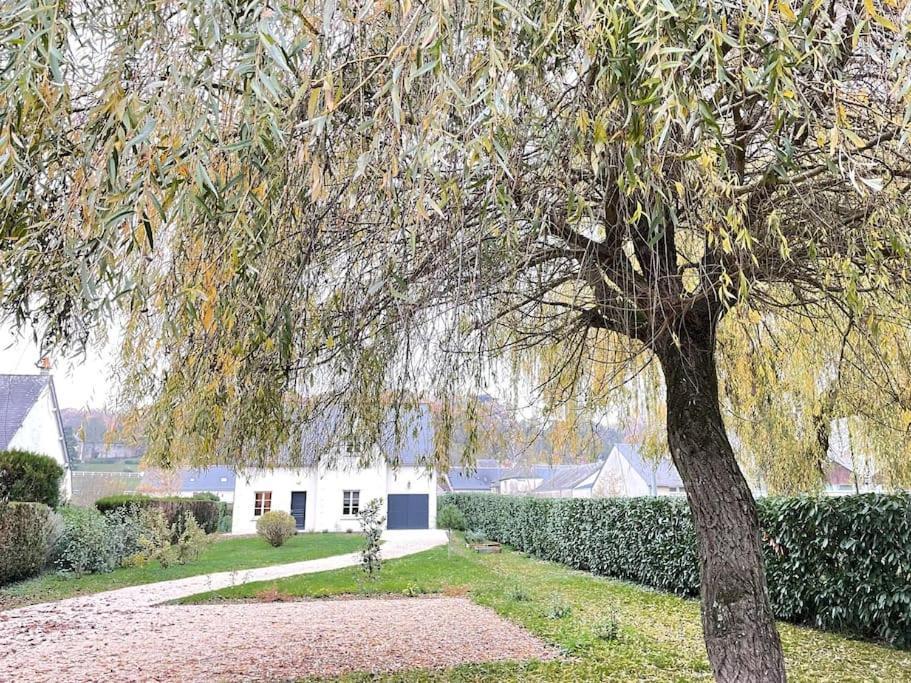 Havre De Paix Spa Proche Amboise & Chateaux De La Loire Noizay المظهر الخارجي الصورة